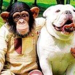 Meet your Posher, Luis